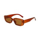 Óculos De Sol Femininos Vintage Com Armação De Leopardo, Luxuosos E Retangulares, Óculos De Pesca