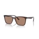 Óculos de Sol Marrom Ray-Ban