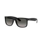 Óculos de Sol Masculino Ray Ban RB4165 601 8G