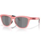 Óculos de Sol Oakley Frogskins Range Muted Metallic Paloma Óculos de Sol Oakley Frogskins Range Muted Metallic Paloma