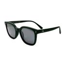 Óculos de Sol Original Speedo em Acetato Masculino ACE 6