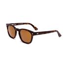 Óculos de sol OTIS Summer of 67 X Eco Havana/Brown Polar