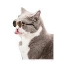 Óculos De Sol Para Gatos Pequenos, Óculos De Sol Para Cães, Proteção Ocular, Fotos Legais