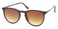 Óculos de Sol PLC Unissex Casual Way Farer Marrom UV400 Kit contém Case