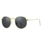Óculos de sol Pro Acme Round Metal Frame 50mm Crystal Grey
