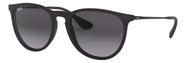 Óculos de Sol Ray-Ban Erika Classic Matte Black / Lente Grey