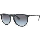 Óculos de Sol Ray-Ban Erika Classic RB4171L 622/8G Preto Fosco
