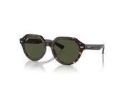Óculos de Sol Ray-Ban Gina RB4399 902/31 53 - Preto