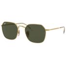 Óculos De Sol Ray-Ban Jim Unissex RB3694 00131 55