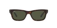 Óculos de Sol Ray Ban Mr Burbank RB2283 902 31 58 Tartaruga Lente Verde Original