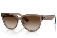 Óculos de sol Ray Ban RB4463L 673713 5617