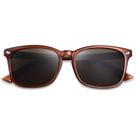 Óculos de sol Reader OPTOFENDY Brown 3.0 UV400 Spring Hinge