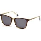 Óculos de Sol Retangular Gant GA7101 55N Demi