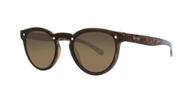 Óculos de sol secret tereza havana turtle brown