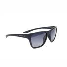 Óculos de Sol Speedo Longboard D01