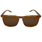 Oculos De Sol Tcharge T9040 G23 Marrom Mel Translucido - T-CHARGE