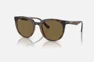 Óculos De Sol Unissex Ray-Ban RB4383L 710/73 53