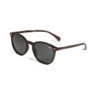 Óculos de Sol VLCS Elegância - Café