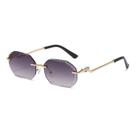 Óculos Óculos de metal leopardo sem aro com lentes cinza de 60 mm
