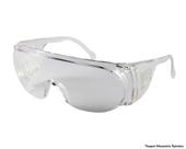 Oculos Protecao Panda Incolor