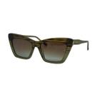 Óculos Solar Ana Hickmann Ah90037 E22 Verde Brilho Lente Marrom Degradê