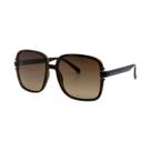 Óculos Solar Bulget Bg8086 G21 Marrom Translúcido Demi Lente Marrom Degradê - Óculos Solar Bulget Bg8086 G21 Marrom Translúcido Demi Lente Marrom Degradê -