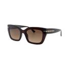 Óculos Solar Bulget Bg8126 E01 Marrom Translúcido Lente Marrom Degradê - Óculos Solar Bulget Bg8126 E01 Marrom Translúcido Lente Marrom Degradê -