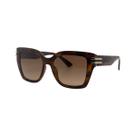 Óculos Solar Bulget Bg8128 G21 Marrom Brilho Demi Lente Marrom Degradê -