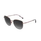Óculos Solar Colcci C0209e0833 Dourado Fosco Lente Cinza Degradê
