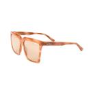 Óculos Solar Colcci Tay C0289f75an Marrom Brilho Demi Lente Marrom cat1 -
