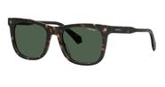 Óculos Solar Polaroid Pld4167/s/x 086 Uc 53 Marrom Brilho Havana Lente Verde Polarizada Óculos Solar Polaroid Pld4167/s/x 086 Uc 53 Marrom Brilho Havana Lente Verde Polarizada