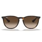 Óculos Solar Ray Ban Érika RB 4171L