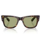 Óculos Solar Ray Ban RB 0840S