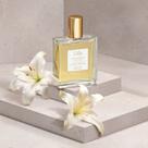 Óleo Acetinado Multifuncional Corpo e Cabelo Lily 50ml Óleo Acetinado Multifuncional Corpo e Cabelo Lily 50ml
