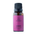 Oleo Concentrado Into The Inght - Classic - 20ML Lenvie Parfums
