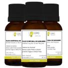 Óleo Corporal Antioxidante de Gengibre 100% puro 30ml Kit com 3 unidades