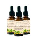 Óleo Corporal Natural Revitalizante de Semente de Abóbora Puro CPC Beauty