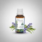 Óleo De Alecrim Pronto 30ml Wnf Sem Sabor