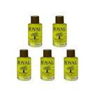 Óleo de Argan Royal - Nutrição e Brilho Intenso - 5x10ml