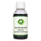 Óleo de Bhringraj R V Essential 100ml Puro e Natural Óleo de Bhringraj R V Essential 100ml Puro e Natural