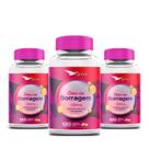 Óleo De Borragem Global Suplementos 360 Cápsulas Kit 3un Óleo De Borragem Global Suplementos 360 Cápsulas Kit 3un