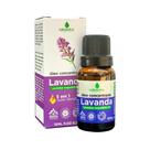 Óleo de Lavanda Concentrado Natuseiva 15mL Calmante Natural, Relaxante e Cuidados com a Pele