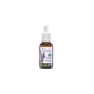Óleo de Lavanda pronto para pele 30ml Óleo de Lavanda pronto para pele 30ml