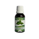 Óleo de Manjericão - Flor do Valle 30ml