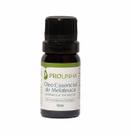 Óleo de Melaleuca Tea Tree Anti Micose 100% Puro 10 ml