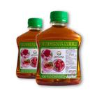 Óleo De Neem Concentrado 250ML - 2 uni - Rende 150 Lts vd01