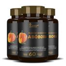 Óleo De Semente De Abóbora 3x60 Cápsulas Softgel Matéria Prima Importada Alisson Nutrition