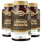 Óleo de Semente de Linhaça Dourada 60 cáps de 1000mg 3 UN