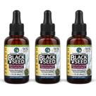 Óleo de semente preta Amazing Herbs Premium 30 ml (pacote com 3)