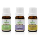 Óleo Essencial 100% Puro Kit Com 3 Alecrim Lavanda Limão Óleo Essencial 100% Puro Kit Com 3 Alecrim Lavanda Limão